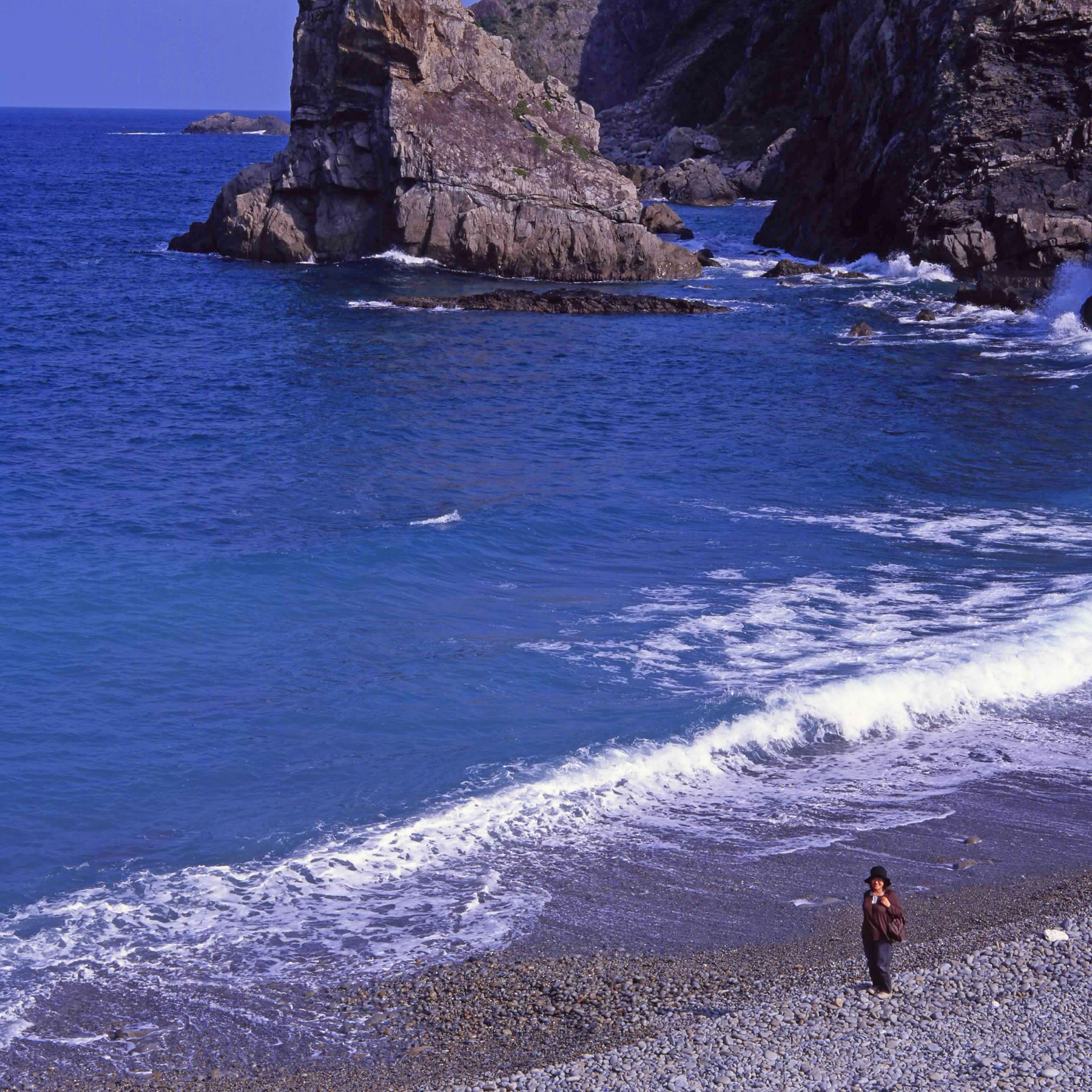 ハッセル　奄美大島